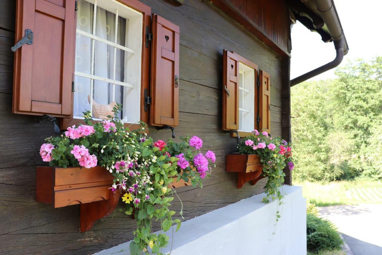 Вілла Ferienhaus Aurelia Кітцек-ім-Заузаль Екстер'єр фото